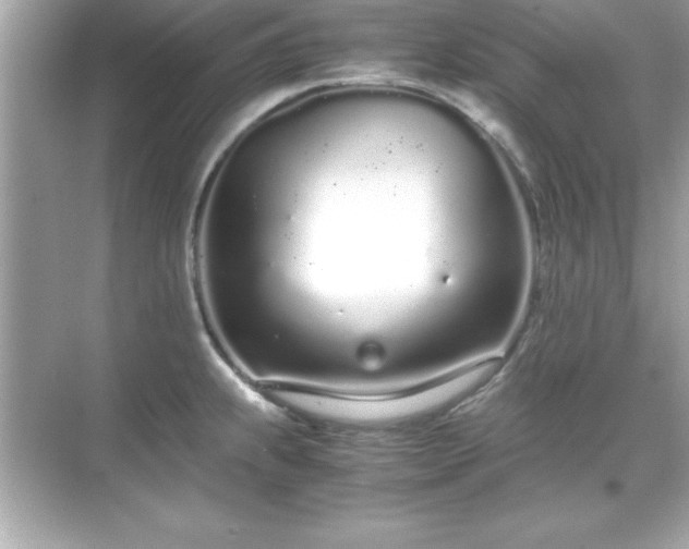 X0000071831239200607072201