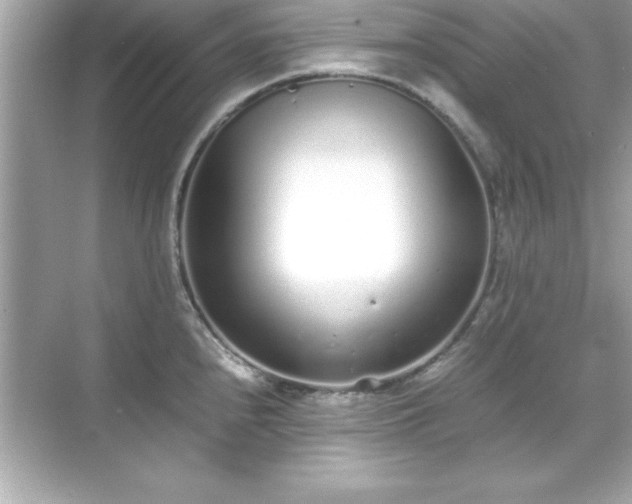 X0000071831240200607072201