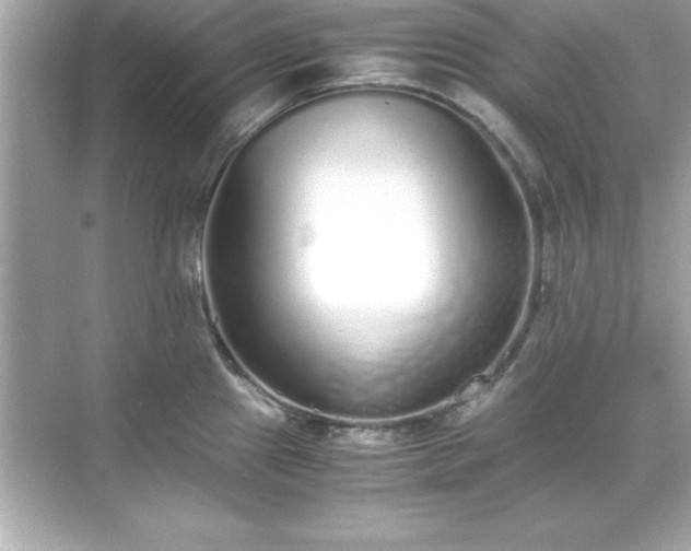 X0000071831241200607072201