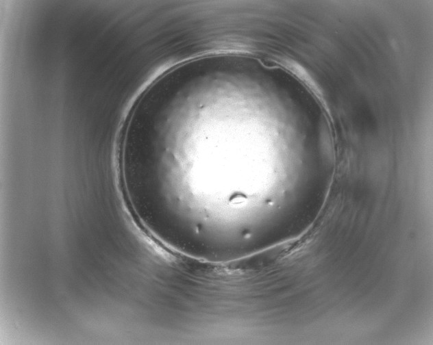 X0000071831243200607072201