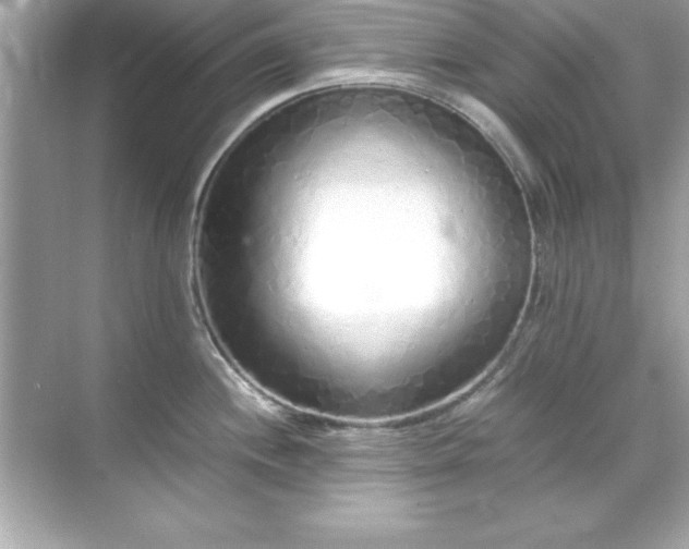 X0000071831244200607072201