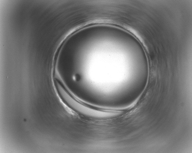 X0000071831245200607072201