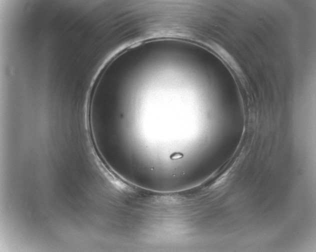 X0000071831246200607072201