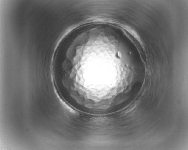 X0000071831247200607072201