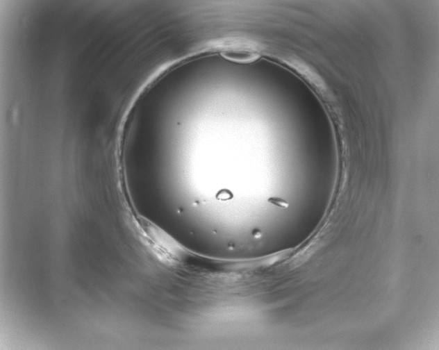 X0000071831248200607072201