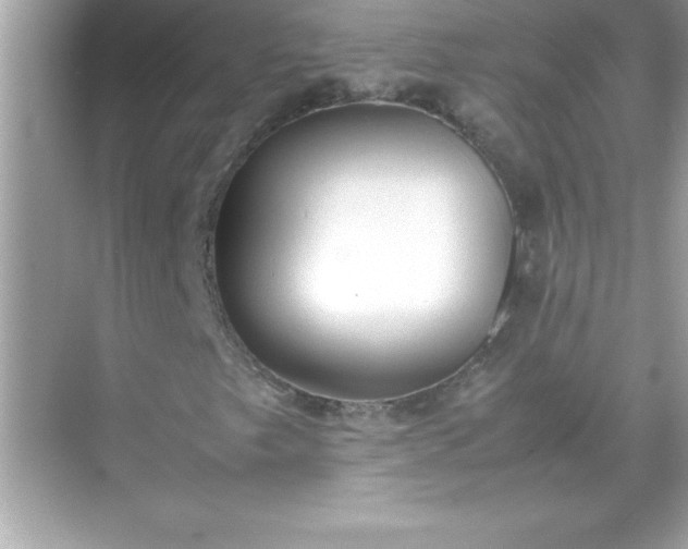 X0000071831249200607072201