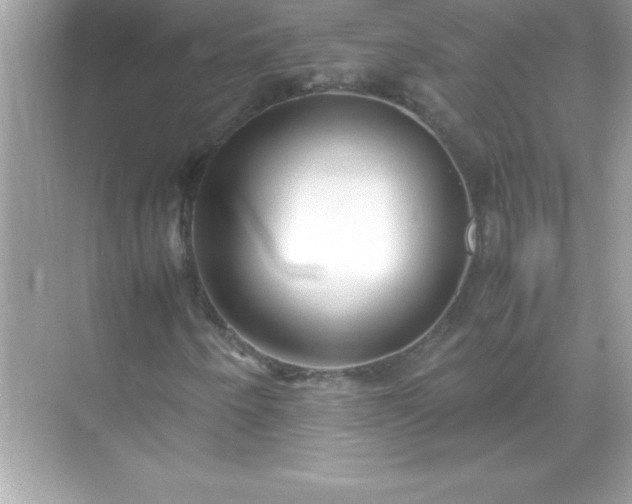 X0000071831250200607072201