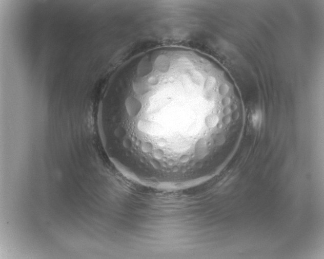 X0000071831252200607072201