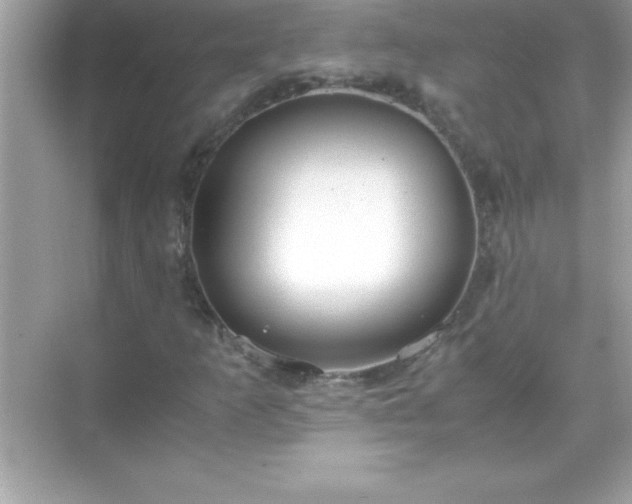 X0000071831253200607072201