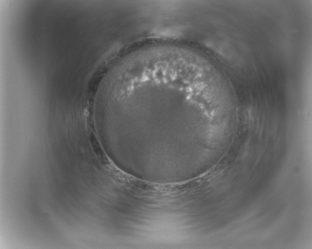 X0000071831254200607072201