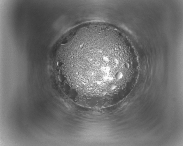 X0000071831255200607072201