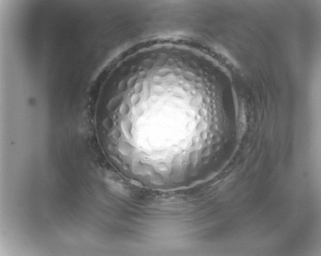 X0000071831256200607072200