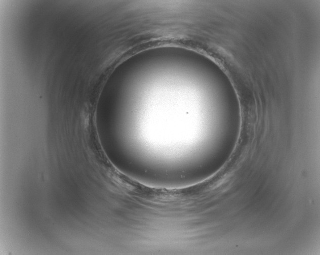 X0000071831257200607072200