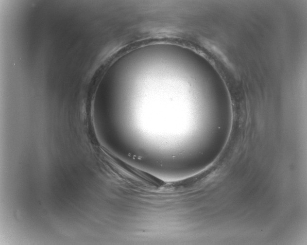 X0000071831261200607072200