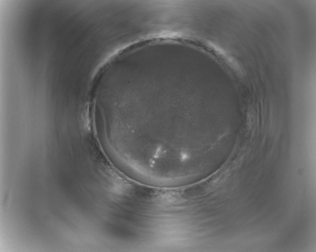 X0000071831262200607072200