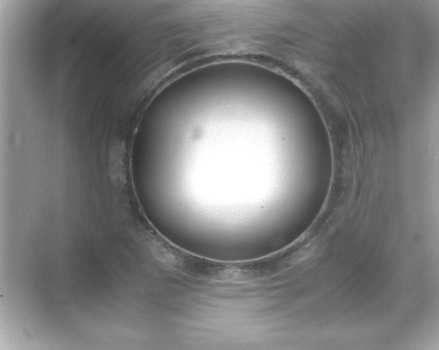 X0000071831265200607072200