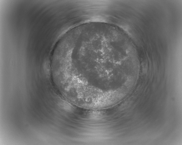 X0000071831266200607072200