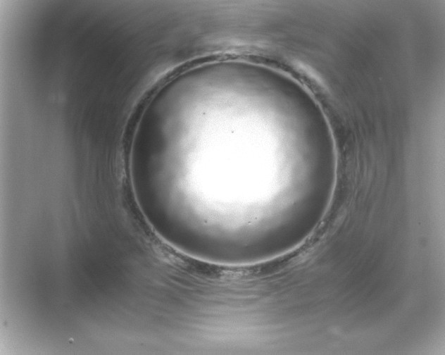 X0000071831267200607072200