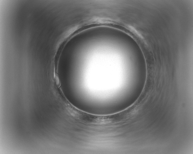 X0000071831269200607072200