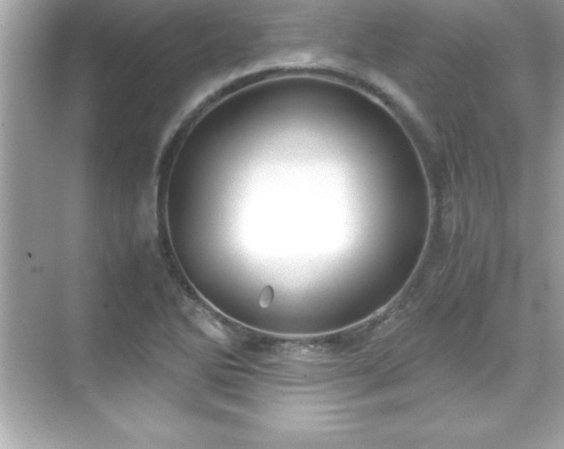 X0000071831270200607072200