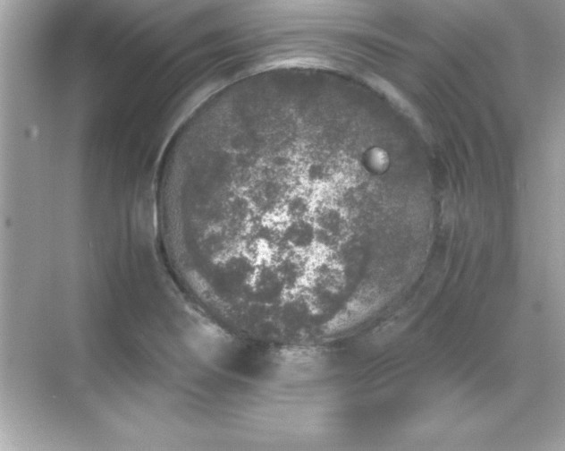 X0000071831274200607072200