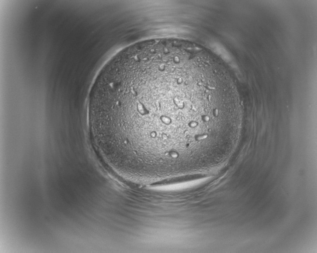 X0000071831275200607072200