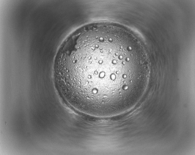 X0000071831279200607072200