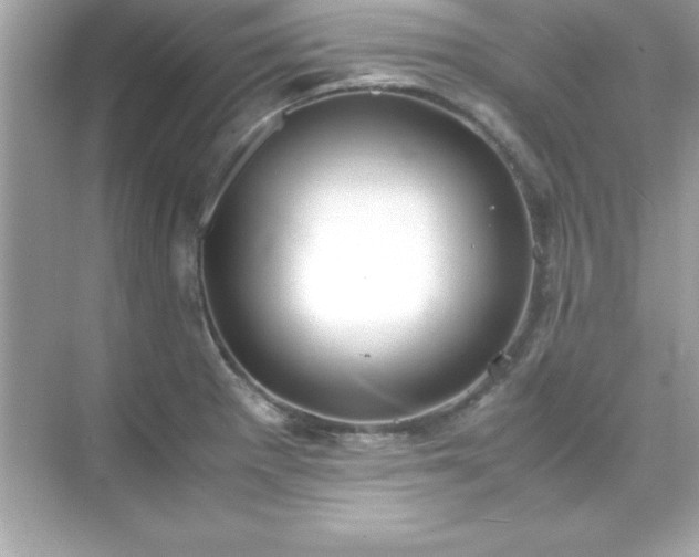 X0000071831281200607072200