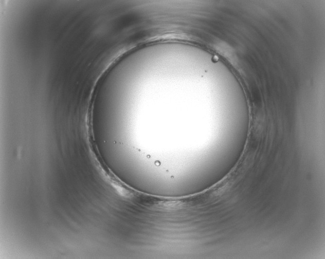 X0000071831282200607072200