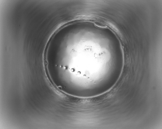 X0000071831283200607072200