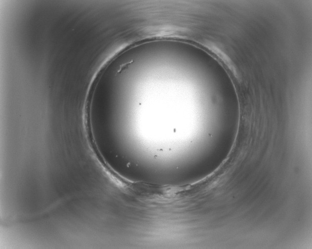 X0000071831285200607072200