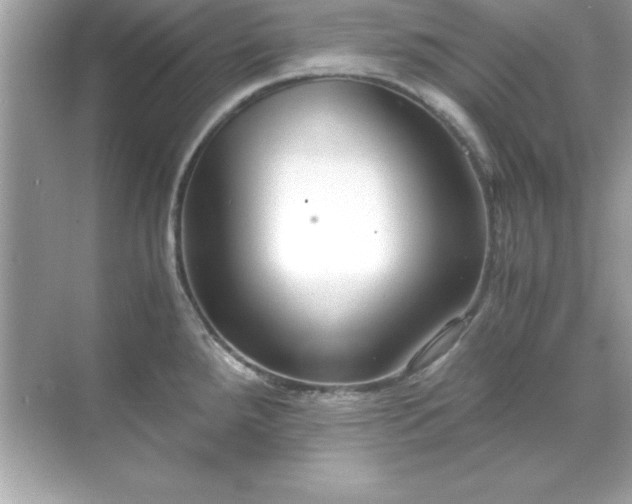 X0000071831288200607072200