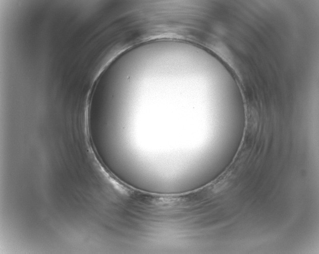 X0000071831290200607072200