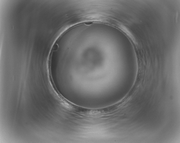 X0000071831291200607072200