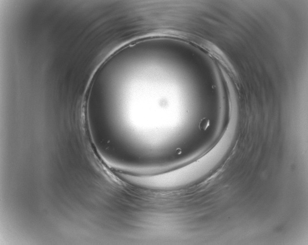 X0000071831292200607072200