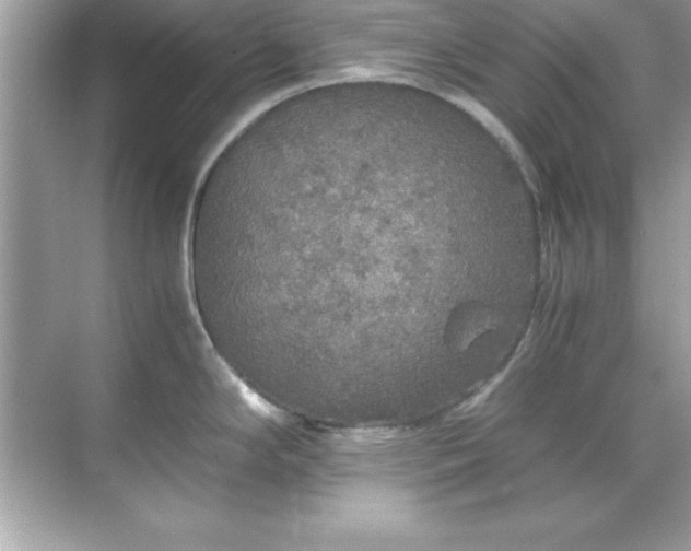 X0000071831294200607072200