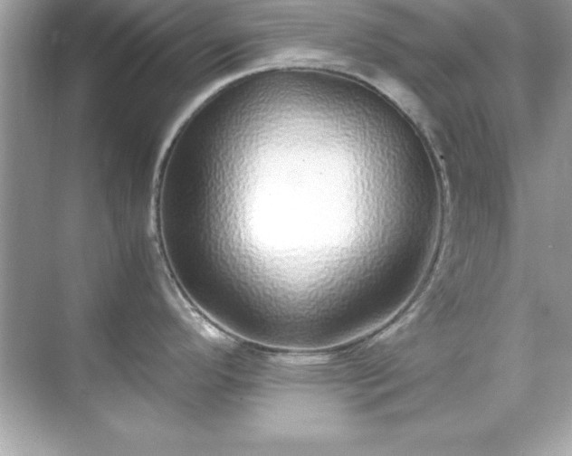 X0000071831296200607072200