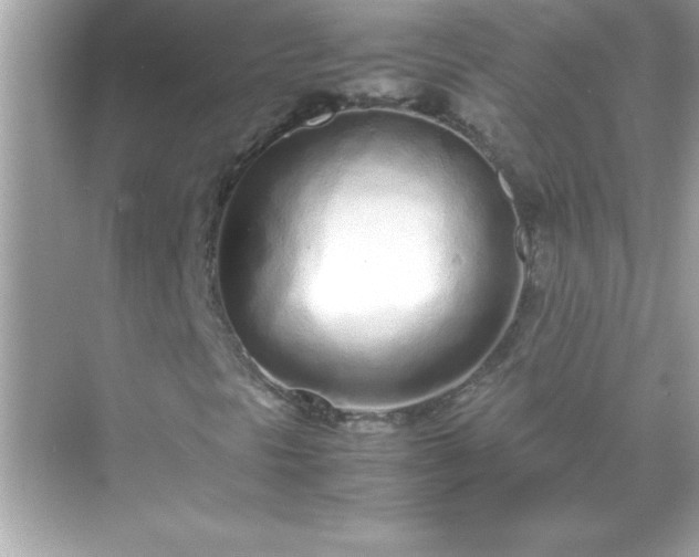 X0000071831297200607072159