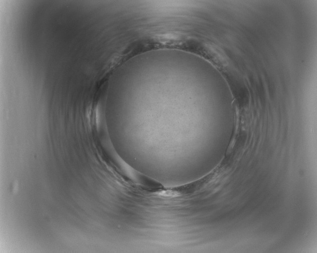 X0000071831298200607072159