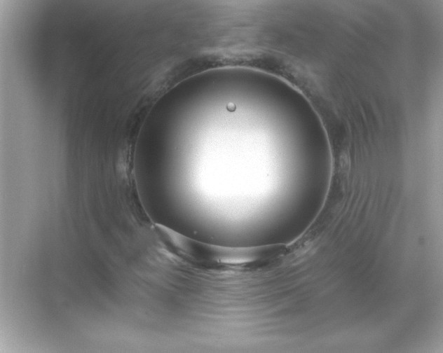 X0000071831300200607072159