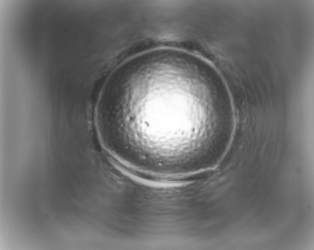 X0000071831301200607072159