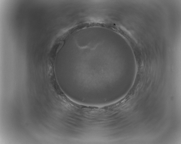 X0000071831303200607072159