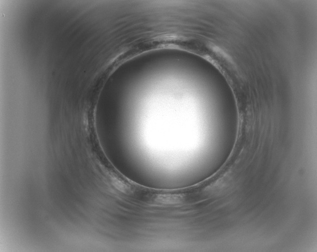 X0000071831305200607072159