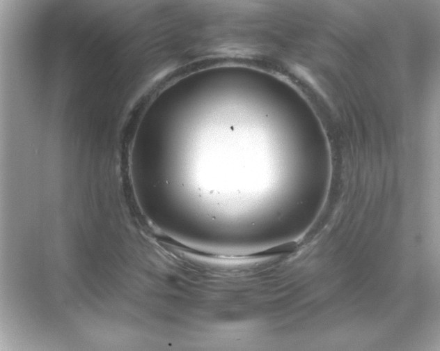 X0000071831307200607072159