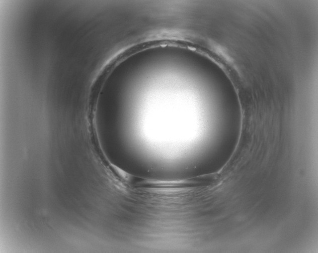 X0000071831312200607072159