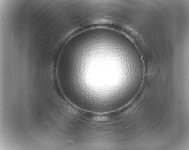 X0000071831313200607072159