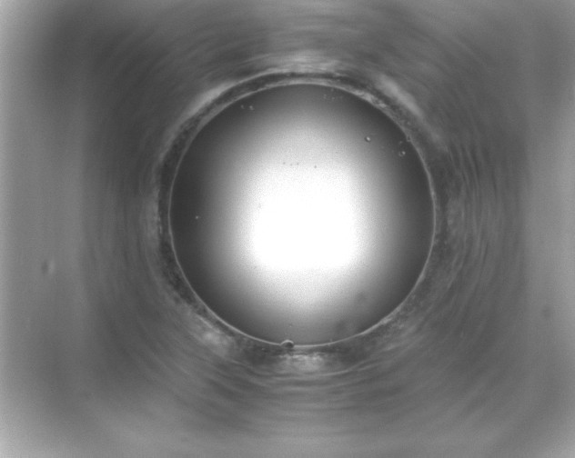 X0000071831315200607072159