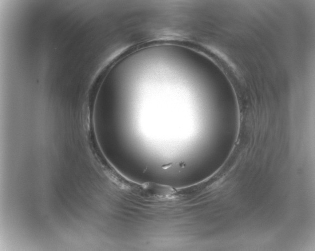 X0000071831317200607072159