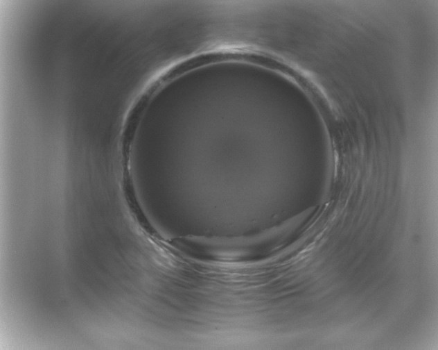 X0000071831319200607072159