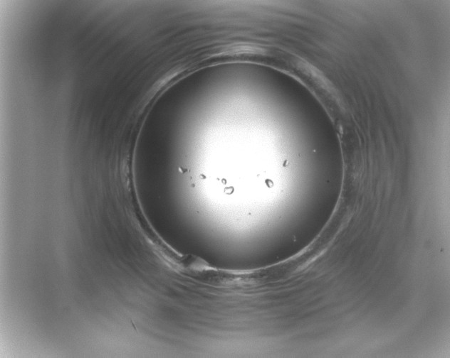 X0000071831321200607072159